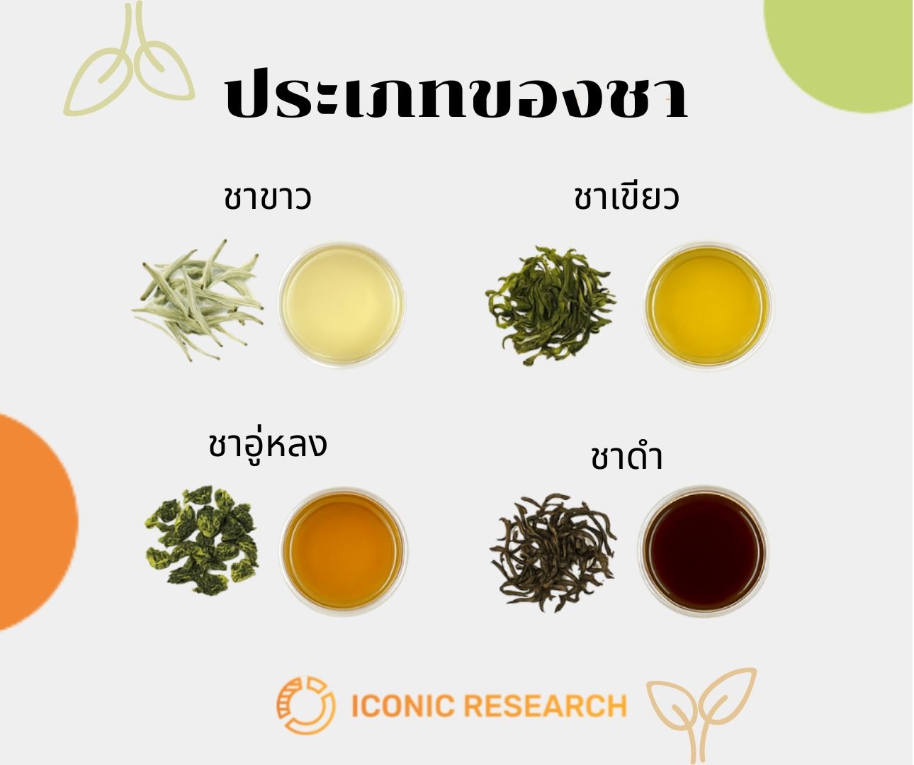 ประเภทของชา