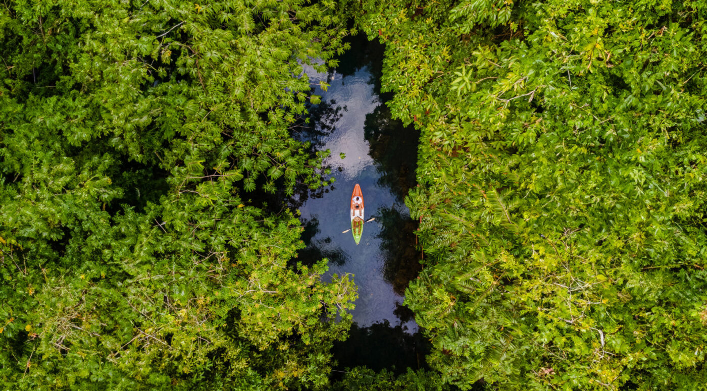 Iconic Research - Innovative Market Research Company